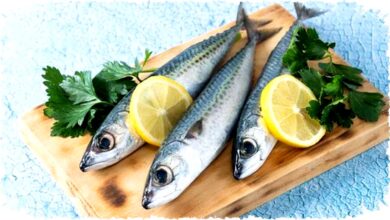Ikan Tinggi Purin Ini Bisa Memicu Serangan Asam Urat Parah — Penderita Wajib Hindari Sekarang!