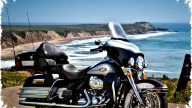 India Bebaskan Bea Masuk Harley-Davidson, Dorong Penjualan Motor Mewah Meningkat