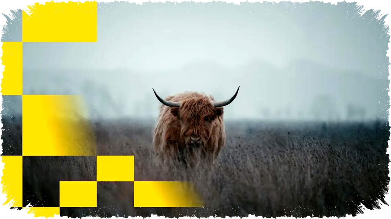 Jim Cramer Tanyakan Keberadaan Bitcoin Bulls Saat Harga BTC Turun ke .000, Apa Selanjutnya? Jim Cramer Tanyakan Keberadaan Bitcoin Bulls Saat Harga BTC Turun ke .000, Apa Selanjutnya?