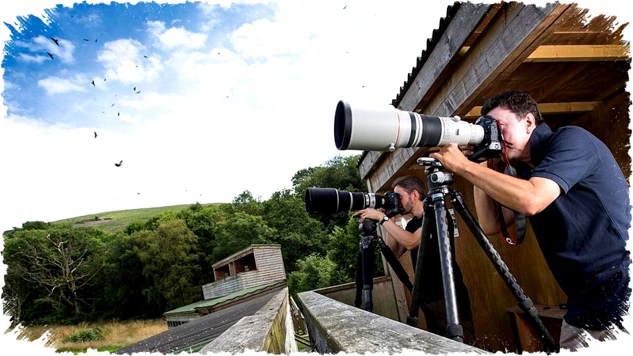 Kamera Terbaik untuk Fotografi Satwa Liar: Pilihan dari Entry-Level APS-C hingga Full-Frame Profesional