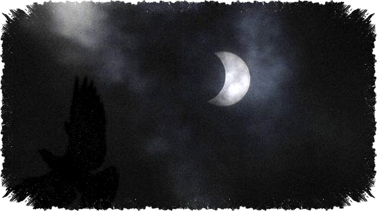 Merpati Bawa Pesan Militer Rahasia Perang Dunia II, Kode Misterius 40 Tahun Belum Terpecahkan Merpati Bawa Pesan Militer Rahasia Perang Dunia II, Kode Misterius 40 Tahun Belum Terpecahkan