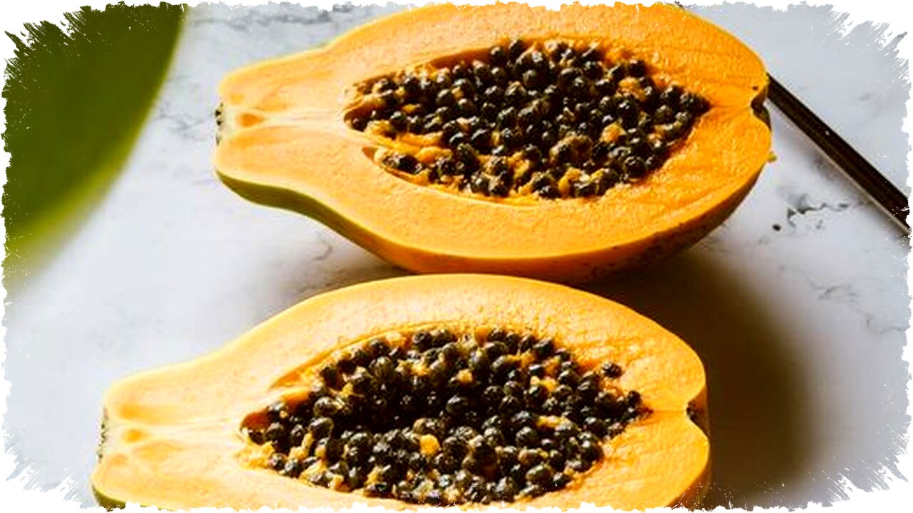 Meski Bermanfaat, Ini 5 Alasan Penting Hindari Konsumsi Pepaya Berlebihan yang Berisiko Meski Bermanfaat, Ini 5 Alasan Penting Hindari Konsumsi Pepaya Berlebihan yang Berisiko
