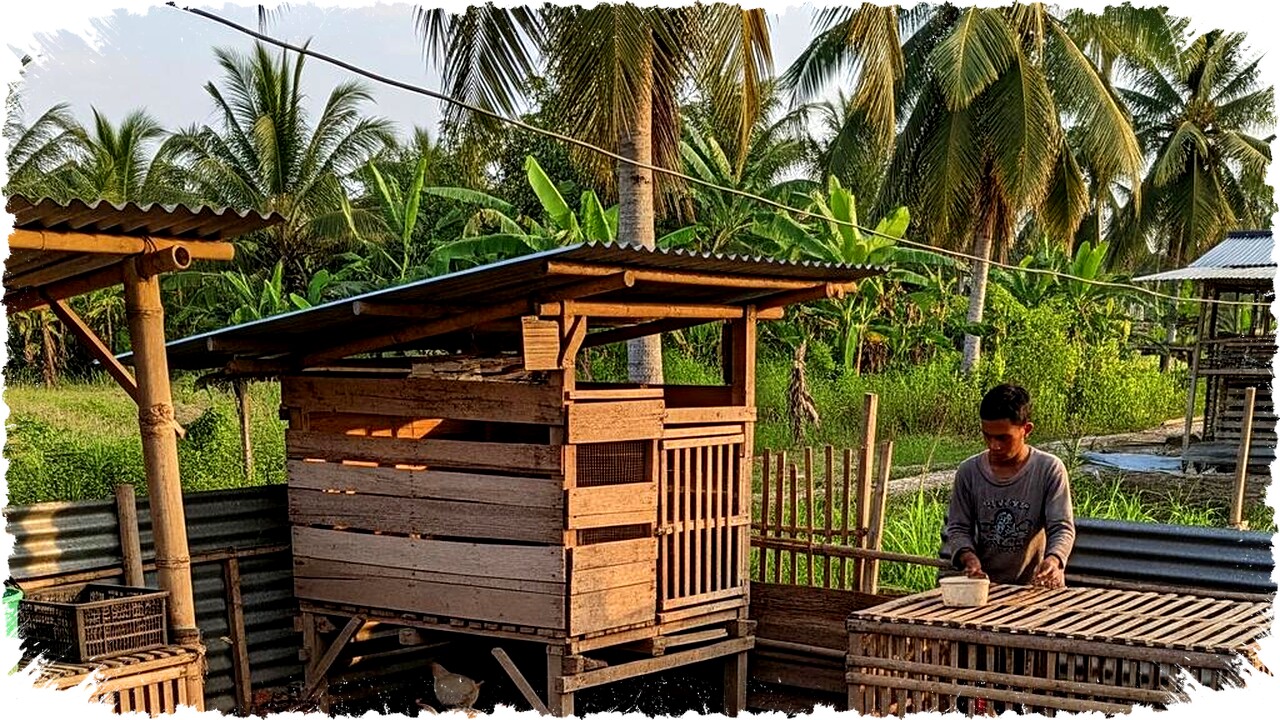 Modal Rp 500 Ribu, Ternak Ini Bikin Cuan Melejit! Rahasia Pemula yang Ditutup-Tutupi Agar Untung Maksimal di Usaha Ternak Skala Kecil Kamu Wajib Tahu! Modal Rp 500 Ribu, Ternak Ini Bikin Cuan Melejit! Rahasia Pemula yang Ditutup-Tutupi Agar Untung Maksimal di Usaha Ternak Skala Kecil Kamu Wajib Tahu!