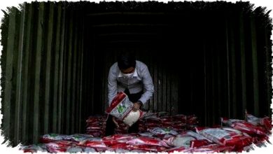 NIK Kunci Utama Akses Bansos 2026: Cara Cek Status Penerima dan Desil DTKS/DTSEn Untuk Pastikan Bantuan Tepat Sasaran