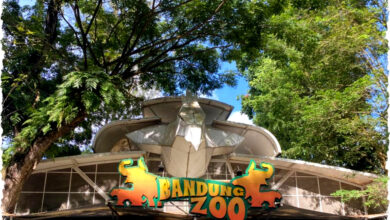 Negara Perkuat Perlindungan Satwa di Kebun Binatang Bandung, Aset Daerah Terjaga Aman