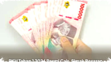 PKH Tahap 1 2026 Resmi Cair: Besaran Bantuan & Cara Cek Penerima Secara Online