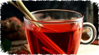 Pagi Bisa Lebih Sehat? 5 Minuman Ini Buktikan Kamu Selama Ini Salah Memilih Sarapan!