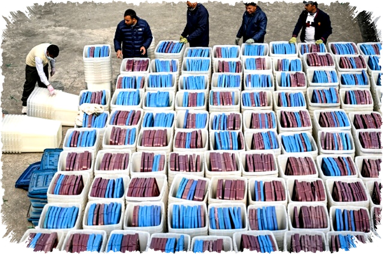 Pemilu Pertama Pasca-kerusuhan Nepal: Duel Memanas Politik Lama vs Generasi Muda dalam Pertarungan Sengit Demi Masa Depan Negara Himalaya Pemilu Pertama Pasca-kerusuhan Nepal: Duel Memanas Politik Lama vs Generasi Muda dalam Pertarungan Sengit Demi Masa Depan Negara Himalaya