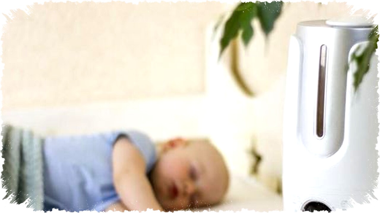 Pengap, Bau Apek, dan Sering Bersin? Kenali Masalah Udara Rumah & Solusinya Efektif!