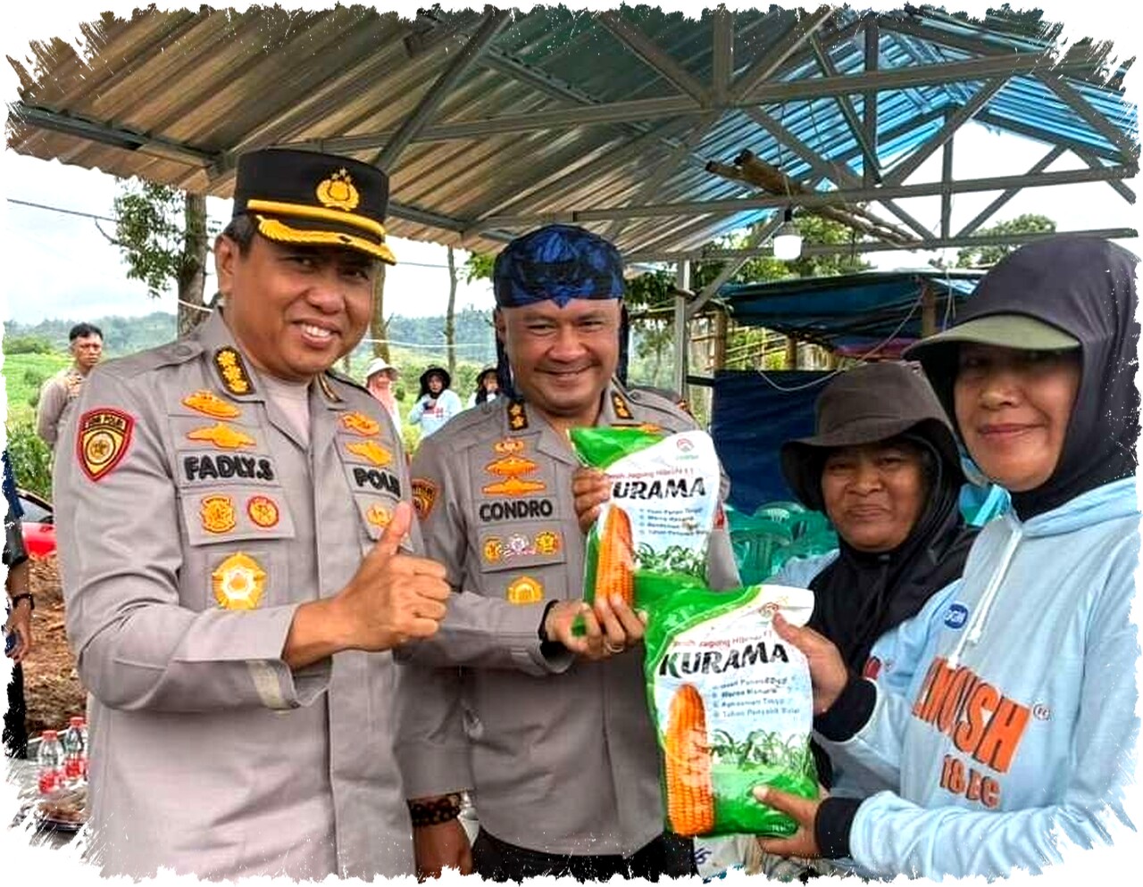 Polda Jabar Optimalkan 2.000 Hektare Jagung dengan Inovasi ‘Culik Tanam’ Dukung Ketahanan Pangan Nasional Polda Jabar Optimalkan 2.000 Hektare Jagung dengan Inovasi ‘Culik Tanam’ Dukung Ketahanan Pangan Nasional