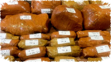 Polisi Tangkap 3 Pelaku dan Sita Hampir 10 Kg Ganja di Parkiran RS UKI Cawang