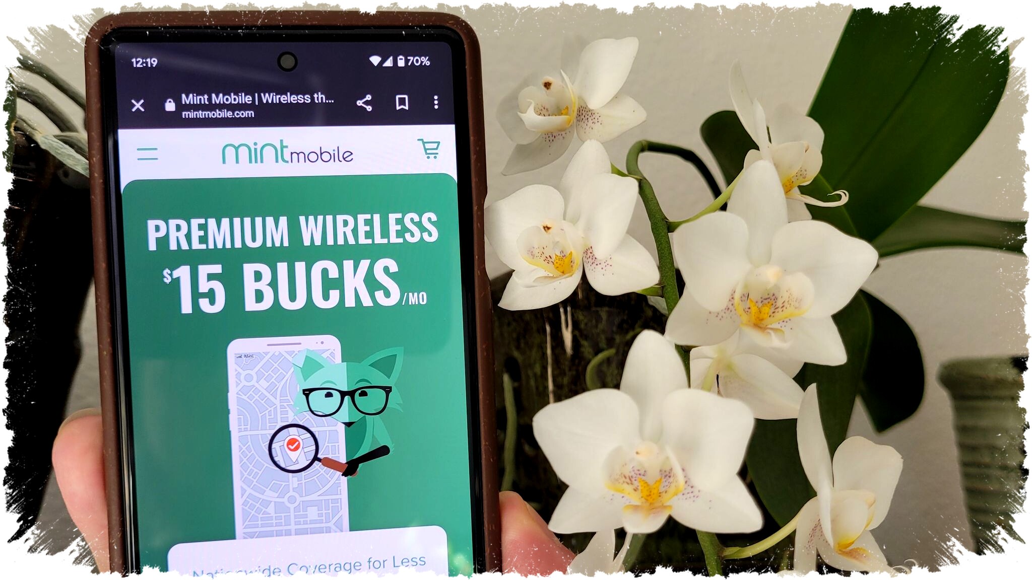 Promo Terbaik Mint Mobile Februari 2026: Diskon Wireless 50%, 5G Home Internet & Paket Hemat Data