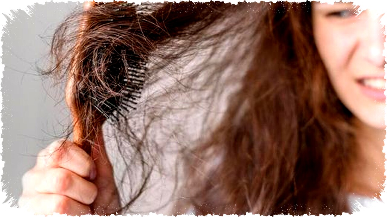 Rambut Halus & Anti Ngembang dengan 3 Hair Care Andalan: Fino, Mora, & &Honey untuk Rambut Sulit Diatur Rambut Halus & Anti Ngembang dengan 3 Hair Care Andalan: Fino, Mora, & &Honey untuk Rambut Sulit Diatur