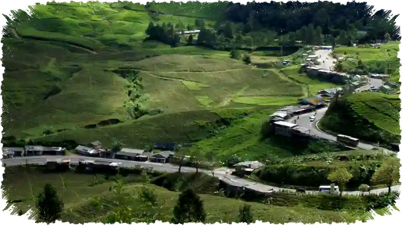 Rest Area Gunung Mas Puncak Bogor 2026: Panduan Istirahat Nyaman & Fasilitas Lengkap Jalur Wisata Rest Area Gunung Mas Puncak Bogor 2026: Panduan Istirahat Nyaman & Fasilitas Lengkap Jalur Wisata