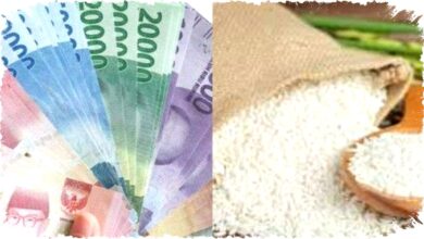 Siap-Siap! Cek Bansos Kemensos 2026 Bisa Bikin Kamu Gagal Dapat Bantuan Kalau Data Tak Terupdate, Begini Cara Cek Lewat Web dan Aplikasi!