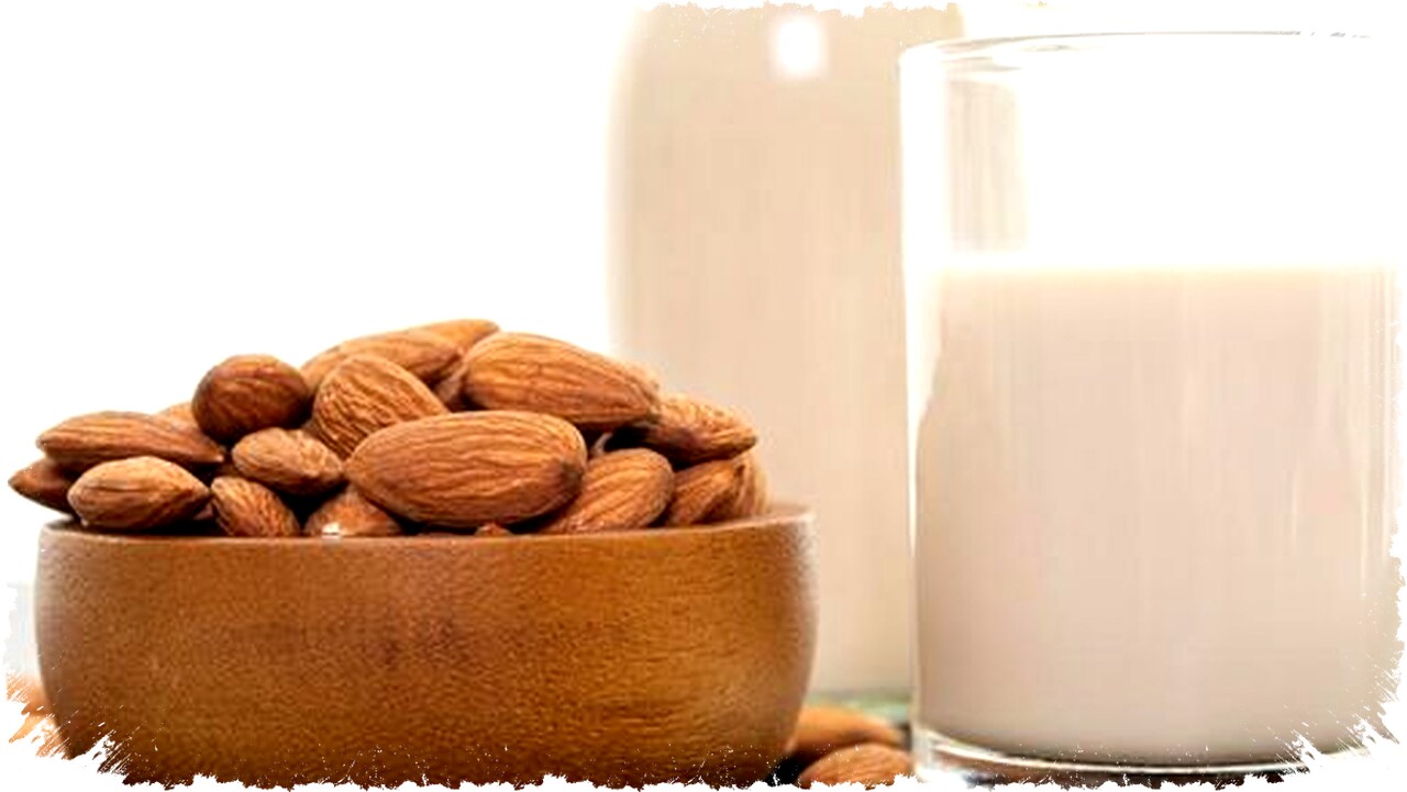Susu Almond vs Susu Kedelai: Protein Rendah vs Nutrisi Lengkap, Mana yang Benar-benar Lebih Sehat untuk Tubuh Anda?