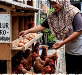 10 Ide Bisnis Ternak Minim Risiko untuk Pemula, Modal Kecil dan Cepat Panen yang Wajib Dicoba!