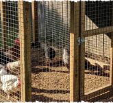 10 Model Kandang Ayam Ramah Lingkungan dari Bahan Daur Ulang, Solusi Hemat dan Berkelanjutan untuk Peternak Cerdas!