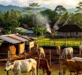 10 Ternak Organik Ini Tak Lagi Niche, Pasar Modern Rela Bayar Lebih Mahal