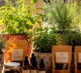 10 Usaha Herbal dari Rumah Ini Tak Lagi Dianggap Receh, Modal Rendah Pasarnya Makin Luas