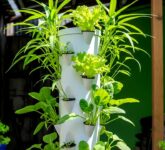 5 Model Tower Garden Murah yang Buktikan Berkebun di Rumah Kecil Bisa Maksimal, Solusi Hemat Lahan dan Biaya Terbaik!