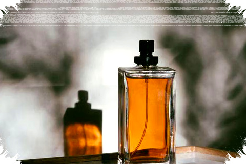 5 Parfum Pria Aroma Fir Paling Elegan, Dari Segar Hingga Gelap Berwibawa