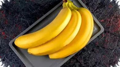 7 Pilihan Camilan Praktis untuk Redakan Mabuk Saat Perjalanan Mudik Lebaran