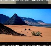 8 4K Blu-ray Terbaru Februari 2026 Dibongkar Detailnya, Layak Banget Bikin Koleksimu Makin Epic!