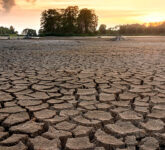 815 Desa di Jatim Terancam Kekeringan, Puncak Kemarau Diprediksi Tiba Agustus