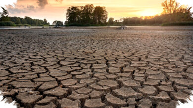 815 Desa di Jatim Terancam Kekeringan, Puncak Kemarau Diprediksi Tiba Agustus