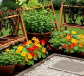 9 Ide Edible Garden Yang Cantik Tapi Sekaligus Bisa Dipanen, Pilihan Taman Bunga Paling Fungsional