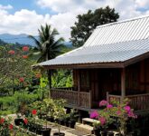 9 Model Rumah Kecil di Kampung dengan Atap Seng Rapi, Desain Cerdas yang Lawan Panas dan Hemat Biaya!