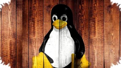 Arch Dan Garuda Bentrok Soal Tanggal Lahir Wajib, Linux Mulai Masuk Ranah Privasi