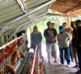 BKK Blora Gelontorkan CSR Rp50 Juta, Peternak Milenial Siap Bangun Kemandirian Ekonomi