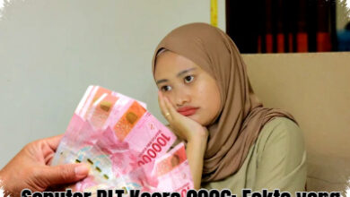 BLT Kesra 2026 Berakhir, Fakta Rp900 Ribu Hoaks dan Ancaman Penipuan Warga?