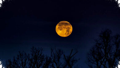 Bulan Ternyata Berbau Seperti Bubuk Mesiu, Ini Penjelasan Ilmiahnya
