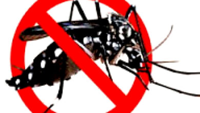 Cara Efektif Edukasi dan Sosialisasi untuk Mencegah Penyakit Demam Berdarah Dengue (DBD)