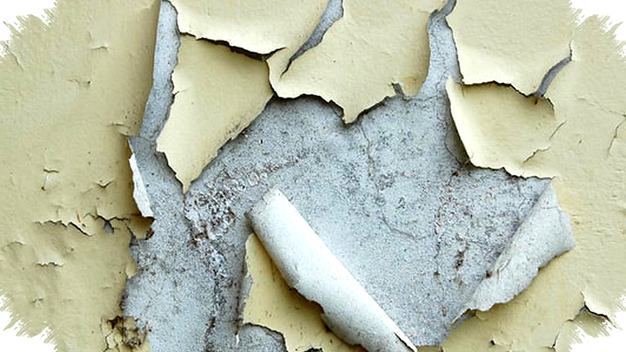 Cat Tembok Cepat Pudar Bukan Sekadar Cuaca, Salah Pilih Cat Bisa Bikin Rumah Kusam Lebih Cepat Cat Tembok Cepat Pudar Bukan Sekadar Cuaca, Salah Pilih Cat Bisa Bikin Rumah Kusam Lebih Cepat