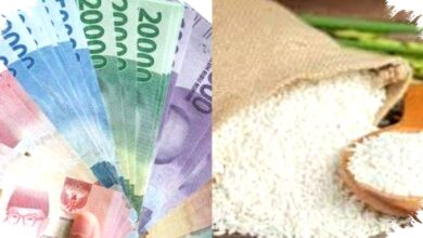 Cek Status Kini Atau Rugi Besar, 5 Jenis Bansos Maret 2026 Mulai Cair Jangan Lewatkan!