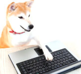 Dogecoin Meroket Lebih 6 Persen, Elon Musk dan Peluang Besar Di Balik Lonjakan Mendadak