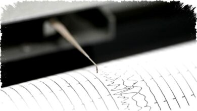 Gempa M 6,4 Guncang Aceh Tanpa Peringatan Tsunami, Bagaimana Warga Menghadapi Getaran Dahsyat Ini?