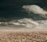 Godzilla El Niño Mengancam Kemarau Panjang di Indonesia, Ancaman Kekeringan dan Kebakaran Hutan Meningkat