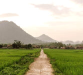 Google Maps Antar Ratusan Mobil Ke Sawah Sleman, Saat Algoritma Salah Baca Jalan Google Maps Antar Ratusan Mobil Ke Sawah Sleman, Saat Algoritma Salah Baca Jalan