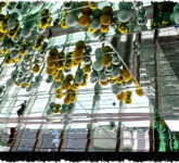 Hasil Kamera Xiaomi 17 Series Gandeng Leica, Buktikan Revolusi Fotografi Mobile Siap Goyang Flagship Dunia