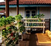 Hidroponik di Teras Kampung Memikat Hati, 6 Cara Praktis Raih Panen Buah Melimpah!