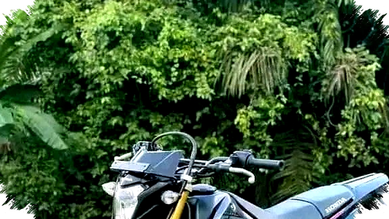 Honda CRF Tangguh di Medan Berat, Tapi 5 Kekurangannya Tak Bisa Diabaikan Honda CRF Tangguh di Medan Berat, Tapi 5 Kekurangannya Tak Bisa Diabaikan