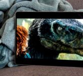 Honor MagicPad 4 Tembus Batas OLED Dengan PWM 5320Hz, Namun Fitur Unggulan Ini Punya Kendala Mengganggu Pengguna Flicker Sensitivity! Honor MagicPad 4 Tembus Batas OLED Dengan PWM 5320Hz, Namun Fitur Unggulan Ini Punya Kendala Mengganggu Pengguna Flicker Sensitivity!