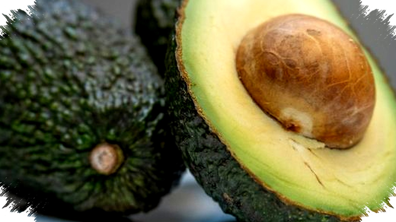 Kombinasi Alpukat dan Bluberi Layak Dilirik, Riset Sebut Fokus dan Memori Bisa Naik Kombinasi Alpukat dan Bluberi Layak Dilirik, Riset Sebut Fokus dan Memori Bisa Naik