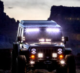 Kura-kura Mojave Hancurkan Ribuan Mil Jalur Off-Road, Keputusan Hakim Picu Batas Baru Perlindungan Satwa dan Ekosistem Gurun Kura-kura Mojave Hancurkan Ribuan Mil Jalur Off-Road, Keputusan Hakim Picu Batas Baru Perlindungan Satwa dan Ekosistem Gurun