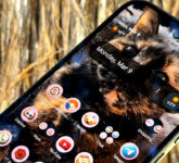 Layar Utama Pixel Semrawut? Google Siapkan Organizer Otomatis yang Menata Semuanya